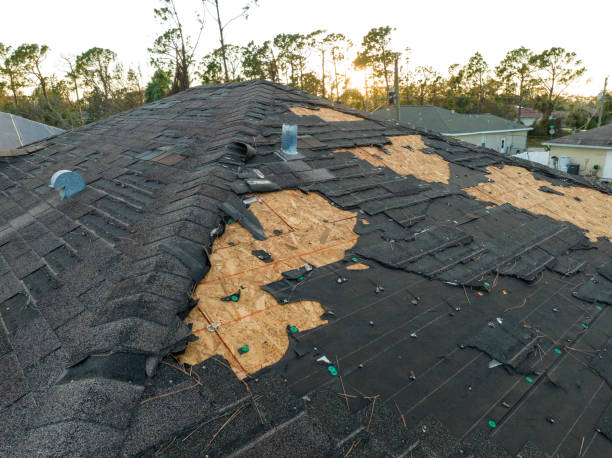 Best Metal Roofing Installation  in Litchfield Beach, SC